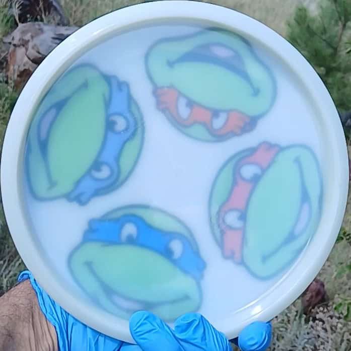 012602.01 Lucid emac truth Ninja Turtles disc golf midrange back