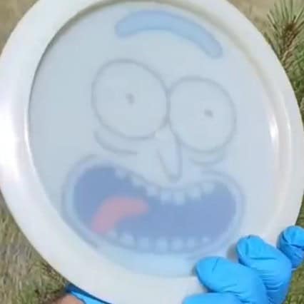 017402.01 Lucid Sparkle Felon Rick & Morty wing back view