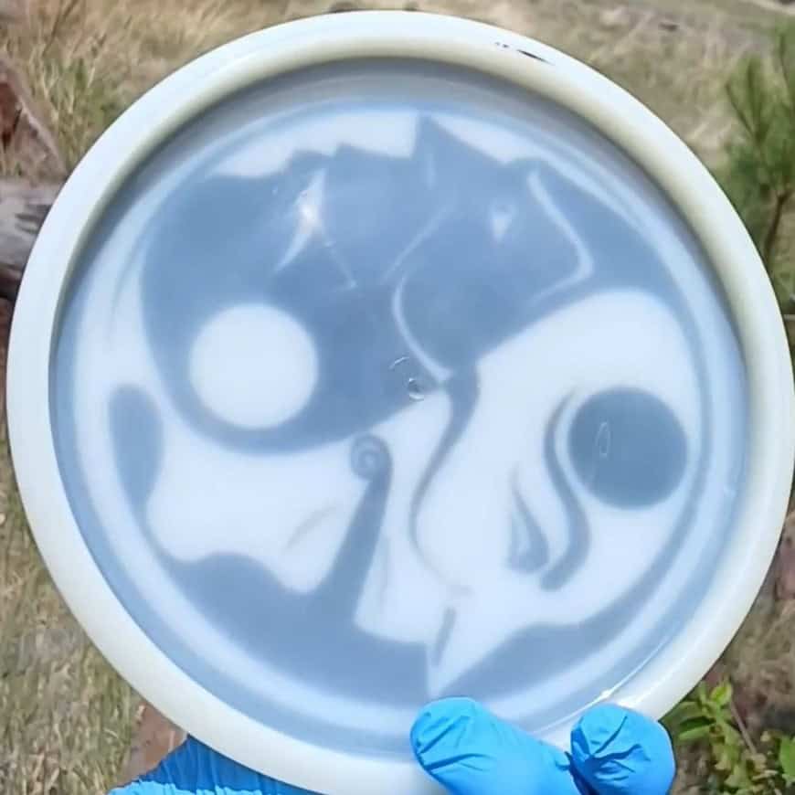 022502.02 Opto Pure Yin Yang Joe back
