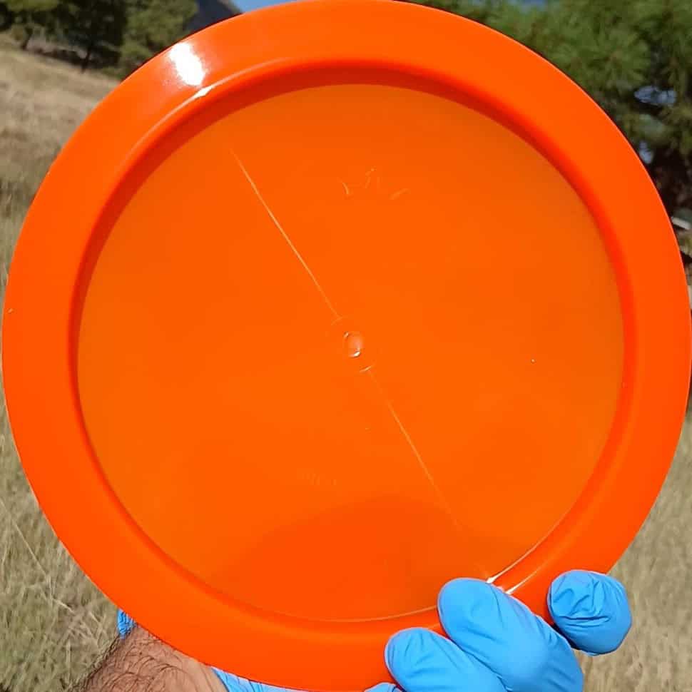 88017002.05 Lucid Breakout Orange Blank back