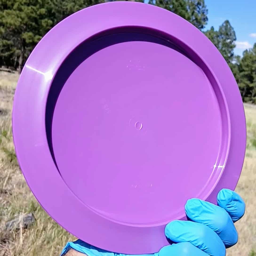 88024001.16 Gold Line Ballista Purple Wiped back