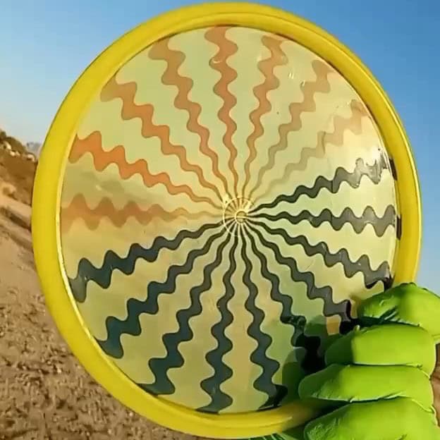 Active premium Maestro discmania dizzy