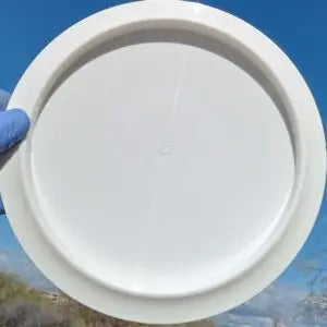 Tournament-Bear-White-Blank-back