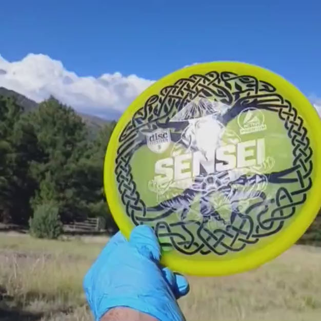 Discmania Active Premium Sensei Tree of Life disc golf putter shown in ponderosa pine trees in Flagstaff Arizona