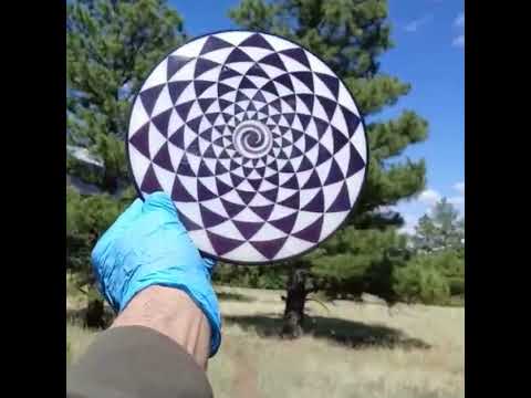 Dynamic Discs Lucid Enforcer Penny Flower Spiral Geometric White Distance Driver - Custom Dyed Discs