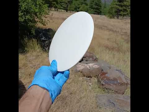 Westside Discs Tournament Bear white blank disc golf fairway driver - Custom Dyed Discs